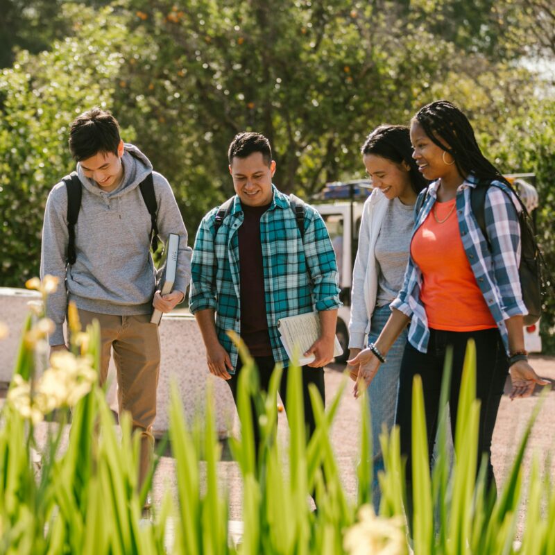 The Green on Campus Drive Friends walking